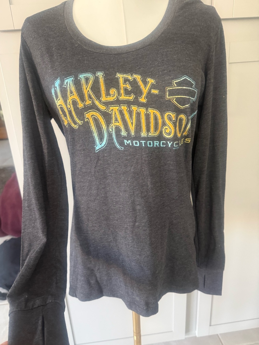Harley-Davidson Charcoal Long Sleeve Tee with Golden Logo